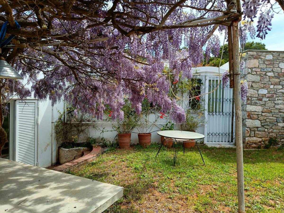 Summer Villa In Порто-Рафті Екстер'єр фото